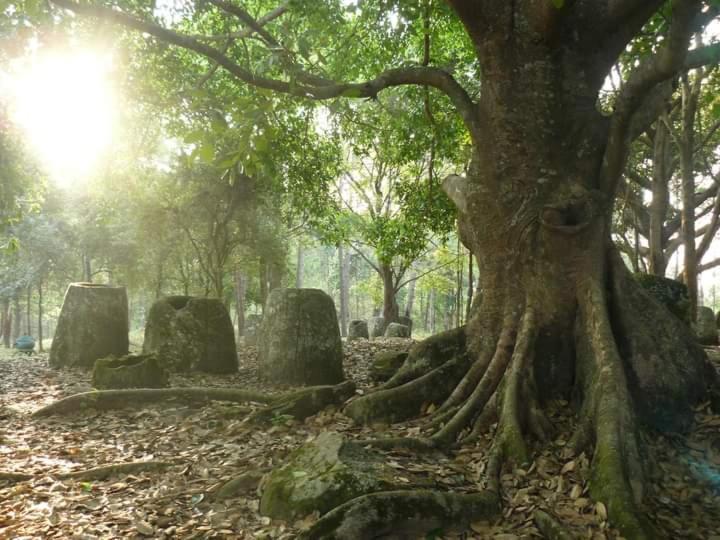 Pukyo Bed And Breakfast Belgian Lao Ban Nangoy エクステリア 写真